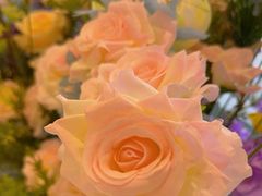 -钓鱼岛洗浴休闲会馆(卫星路店)