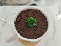 -喵园·猫主题咖啡厅·撸猫·猫咖(国贸店)