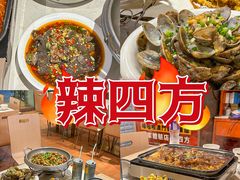-辣四方新派川菜