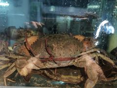 -碗中海·蒸汽海鲜·桑拿鸡(岭南天地店)