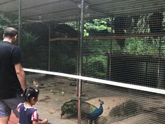 -厦门悦华酒店·绿庭主题自助餐厅