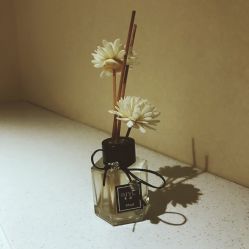 -Let's beauty莱恩轻奢皮肤管理