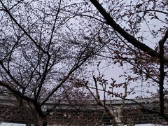 -上海南浦大桥长途旅游客运站