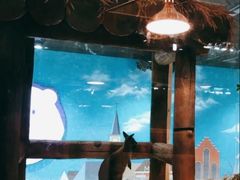 -Mr·Kuma酷么先生雪之乐园