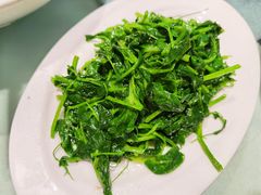 清炒豌豆尖-文杏酒楼(一品天下店)