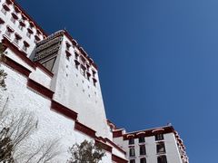 -布达拉宫