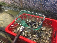 -巽寮印象美食部落餐厅·海鲜·地方特色菜(惠州体验店)