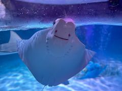 -沈阳海洋探索中心