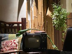 -樹下遇见树·咖啡