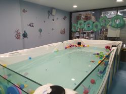 -香港3861婴幼儿游泳馆(东海商务中心店)