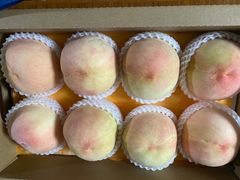 -老袁家蜜桃农场·阳山水蜜桃