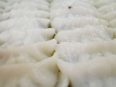 米饺-张记米饺
