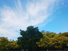 -绿堤公园