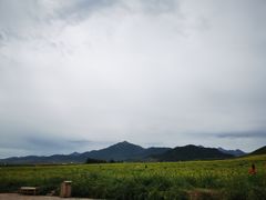 -扁都口生态休闲旅游区