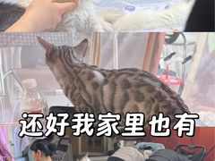 -中粮·祥云小镇