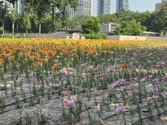 -中国农业博物馆
