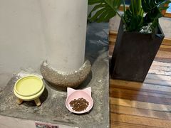 -猫的天空之城概念书店(苏州平江店)