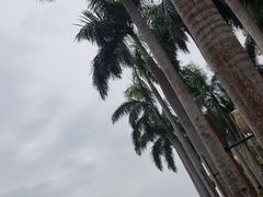 -三亚亚龙湾红树林度假酒店