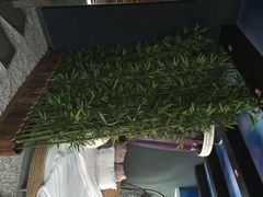天鹅恋情侣主题酒店(积玉桥店)-天鹅恋主题酒店(积玉桥地铁站店)