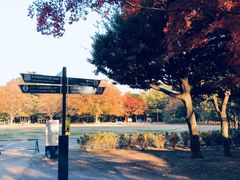 -井之头恩赐公园