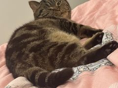 -优衣库(上海金桥国际商业广场店)