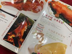 -姚林轩