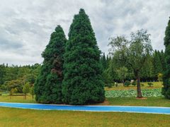 -宜兴龙背山森林公园