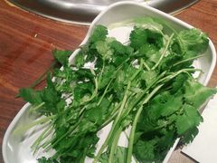 -季季红火锅(动壹店)