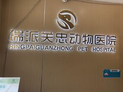 -瑞派·关忠动物医院·猫专科·犬专科(三环新城店)