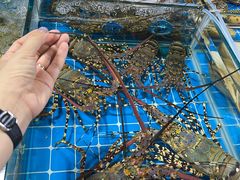 -鸿港海鲜批发市场