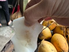 -万兴启丰椰子文化园餐厅