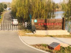 -池杉湖湿地公园