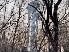 -奥林匹克森林公园南门-停车场