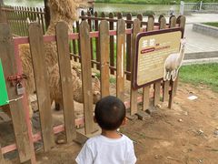 -王借岗森林公园