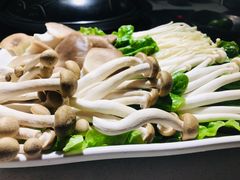 -百年果林椰子鸡(中洲店)