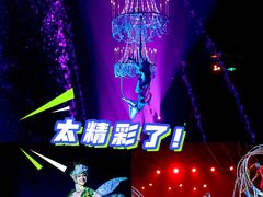 -广州长隆国际大马戏