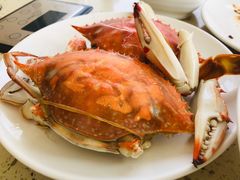 -港畔赶海蒸汽海鲜烧烤自助(仙螺岛店)