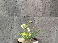 -帝京日语(春熙路旗舰校区)