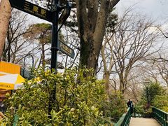 -三鹰之森吉卜力美术馆