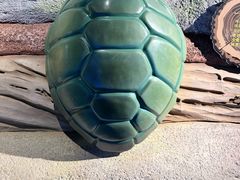 -海合安成都极地海洋公园