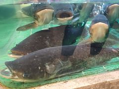 -鱼你相聚·河鲜馆(袁家岭店)