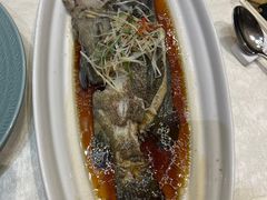豉油清蒸老虎斑-太湖饭店·寄畅轩中餐厅
