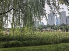 -西海子公园