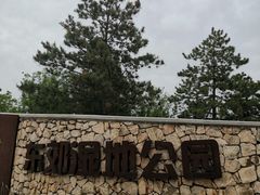 -东郊湿地公园