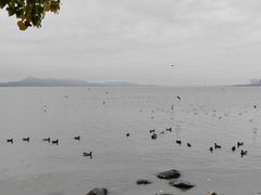 -深圳湾公园(南山区)