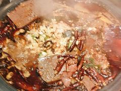 -探鱼·鲜青椒爽麻烤鱼(沈阳万象城店)