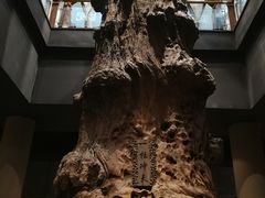 -乐山乌木文化博览苑