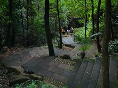 -凤栖山