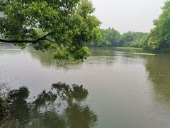 -西湖外事游船(花港观鱼码头)