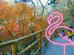 -灵岩山风景区